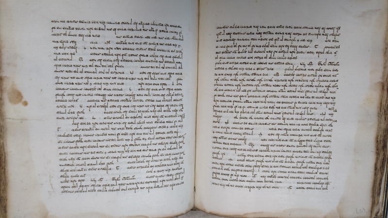 Libro manoscritto
